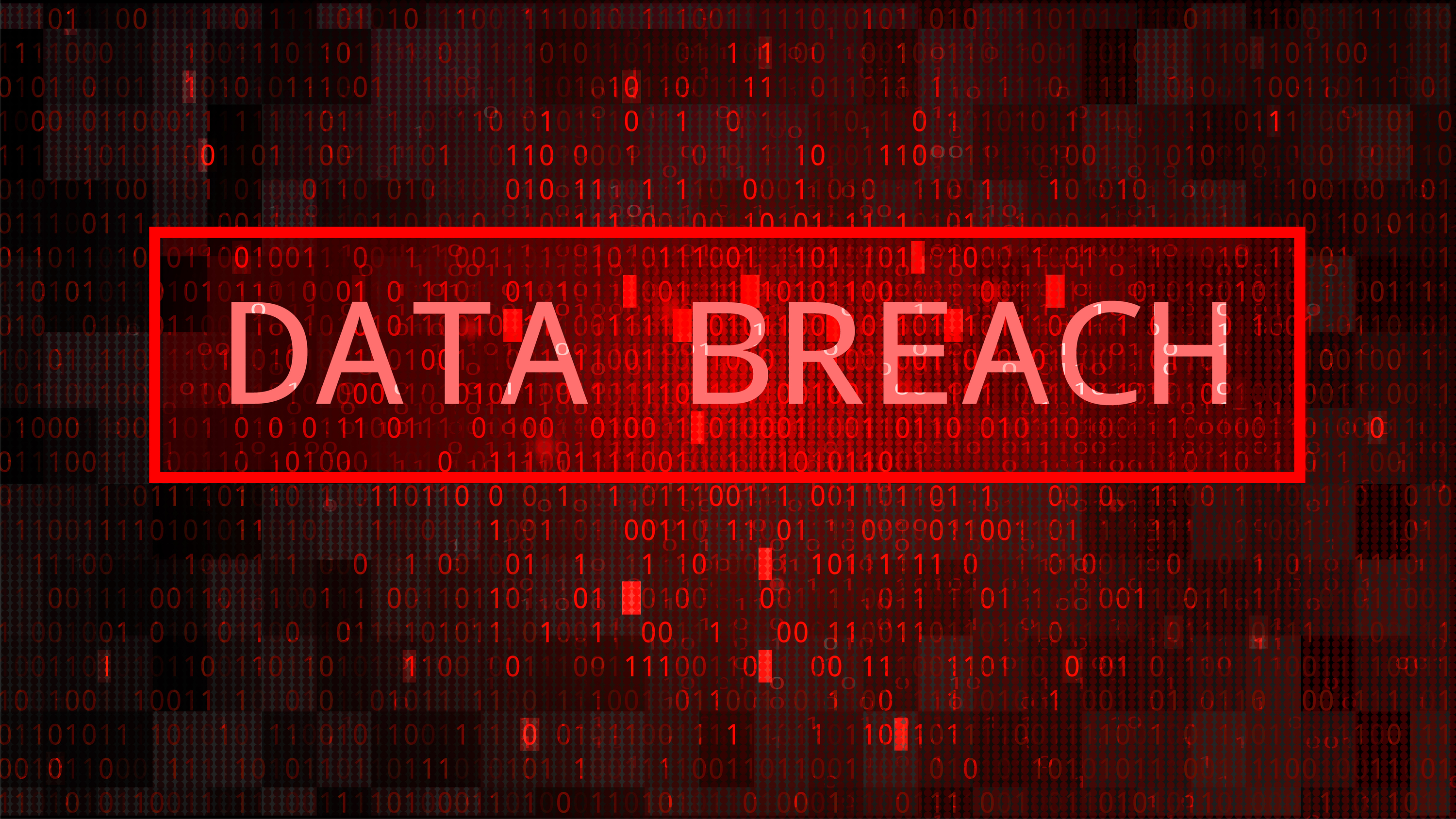 Guide: Important Steps to Take Right After Your Office Has Experienced a Data Breach